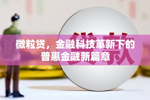 武江微粒贷，金融科技革新下的普惠金融新篇章