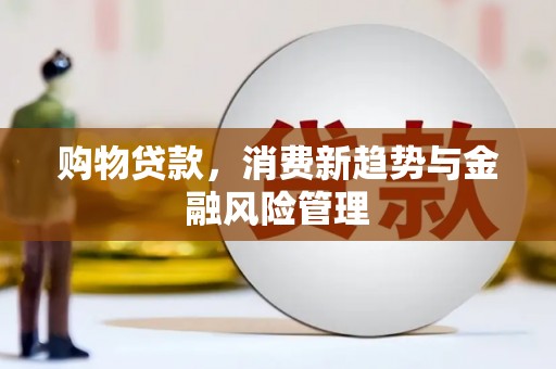 武江购物贷款，消费新趋势与金融风险管理