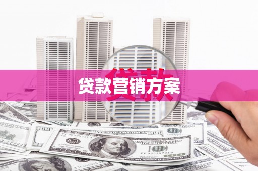 武江贷款营销方案