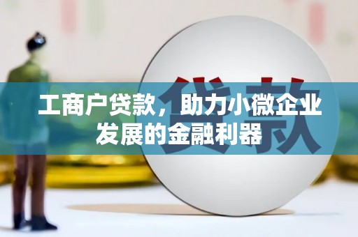 武江工商户贷款，助力小微企业发展的金融利器