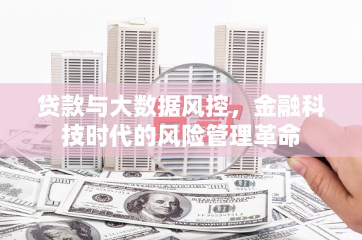 武江贷款与大数据风控，金融科技时代的风险管理革命