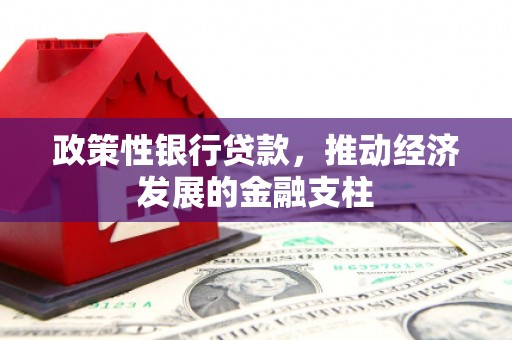 武江政策性银行贷款，推动经济发展的金融支柱