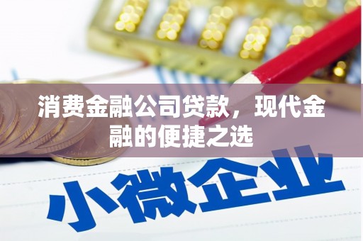 武江消费金融公司贷款，现代金融的便捷之选