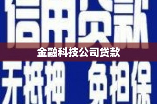 武江金融科技公司贷款