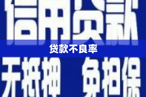 武江贷款不良率