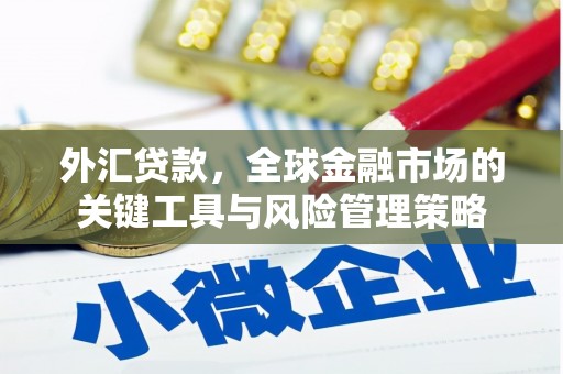 武江外汇贷款，全球金融市场的关键工具与风险管理策略