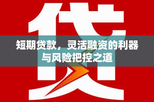 武江短期贷款，灵活融资的利器与风险把控之道