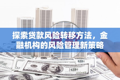 武江探索贷款风险转移方法，金融机构的风险管理新策略