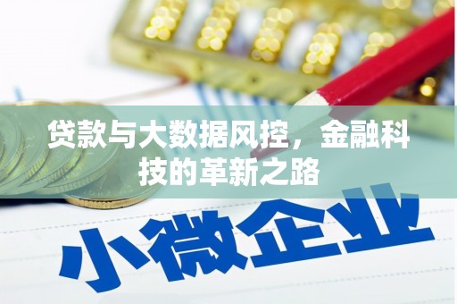 武江贷款与大数据风控，金融科技的革新之路