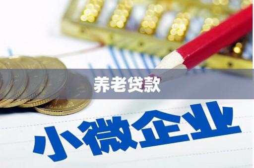 武江养老贷款