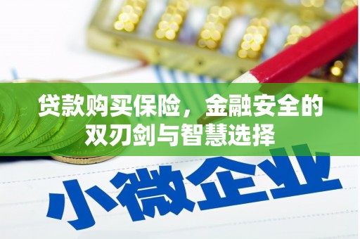 武江贷款购买保险，金融安全的双刃剑与智慧选择