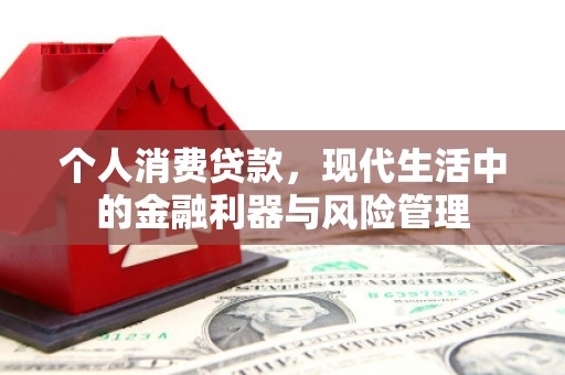 武江个人消费贷款，现代生活中的金融利器与风险管理