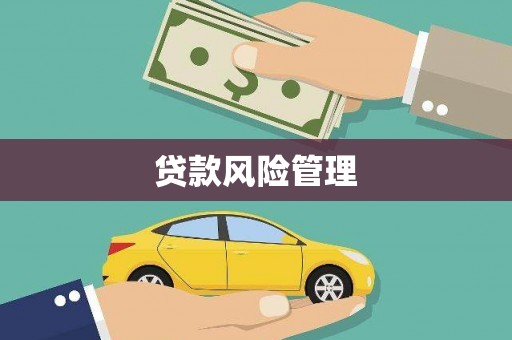 武江贷款风险管理