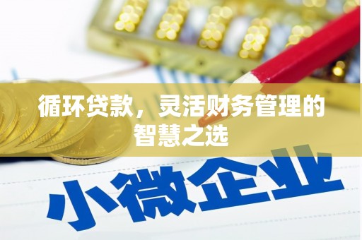 武江循环贷款，灵活财务管理的智慧之选