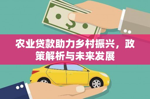武江农业贷款助力乡村振兴，政策解析与未来发展