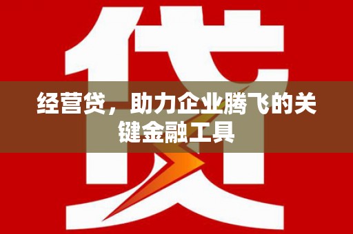 武江经营贷，助力企业腾飞的关键金融工具
