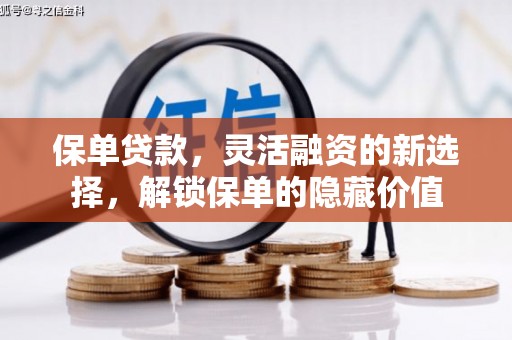 武江保单贷款，灵活融资的新选择，解锁保单的隐藏价值