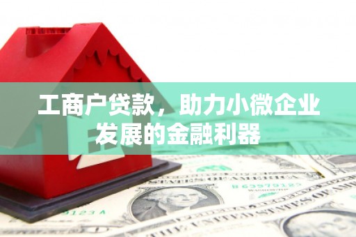 武江工商户贷款，助力小微企业发展的金融利器