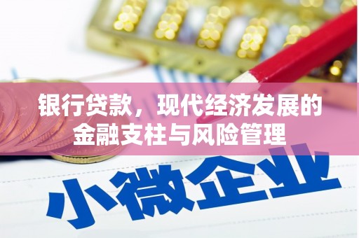 武江银行贷款，现代经济发展的金融支柱与风险管理