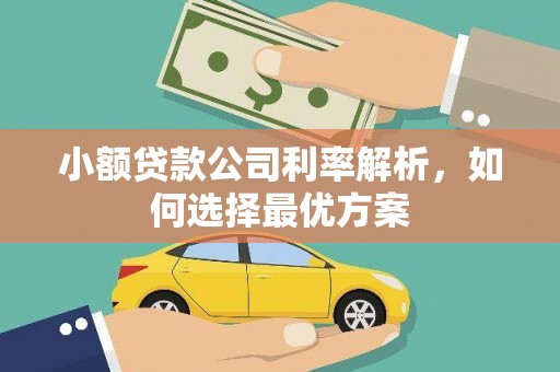 武江小额贷款公司利率解析，如何选择最优方案