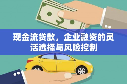 武江现金流贷款，企业融资的灵活选择与风险控制