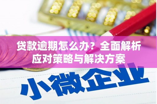 武江贷款逾期怎么办？全面解析应对策略与解决方案