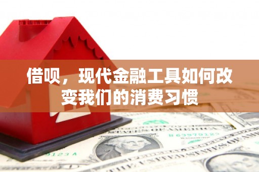 武江借呗，现代金融工具如何改变我们的消费习惯