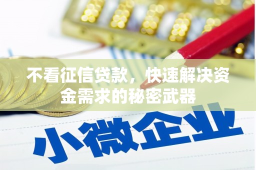 武江不看征信贷款，快速解决资金需求的秘密武器