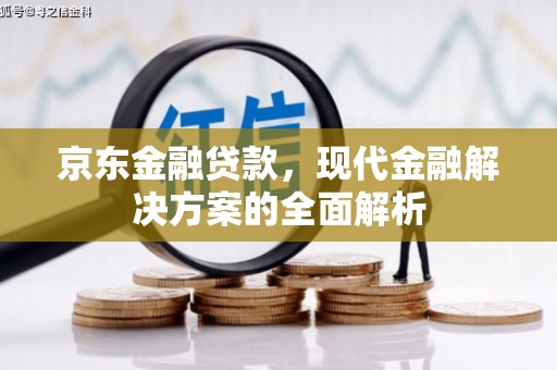 武江京东金融贷款，现代金融解决方案的全面解析