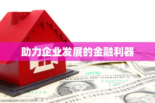 武江助力企业发展的金融利器