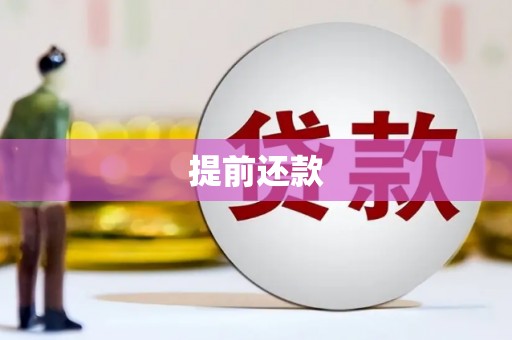 武江提前还款