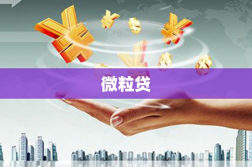 武江微粒贷