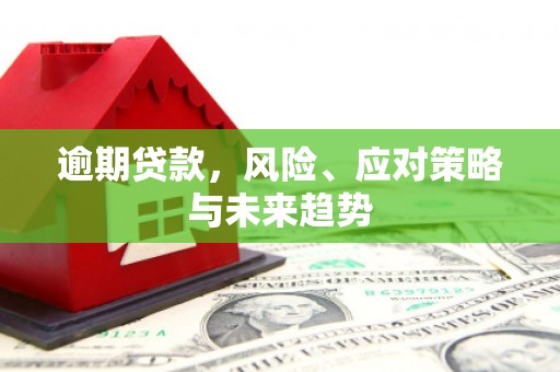 武江逾期贷款，风险、应对策略与未来趋势