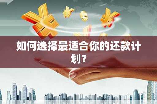 武江如何选择最适合你的还款计划？