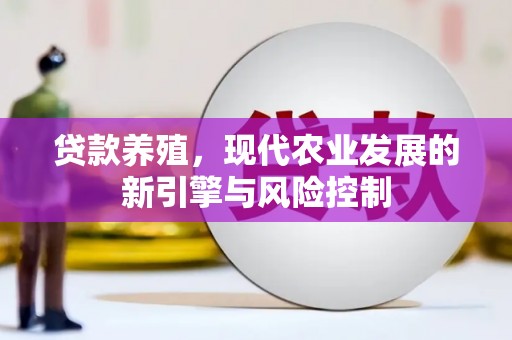 武江贷款养殖，现代农业发展的新引擎与风险控制