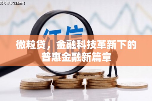 武江微粒贷，金融科技革新下的普惠金融新篇章