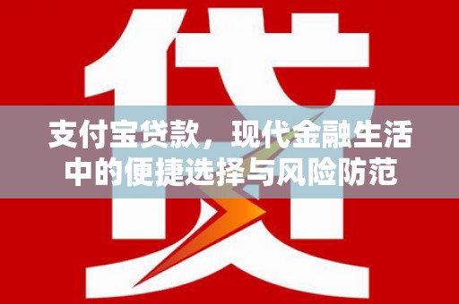 武江支付宝贷款，现代金融生活中的便捷选择与风险防范