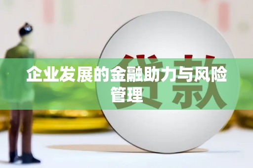 武江企业发展的金融助力与风险管理