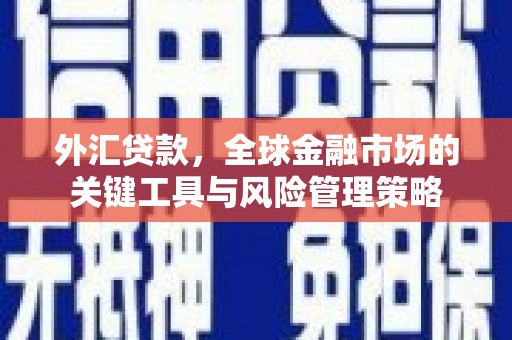 武江外汇贷款，全球金融市场的关键工具与风险管理策略