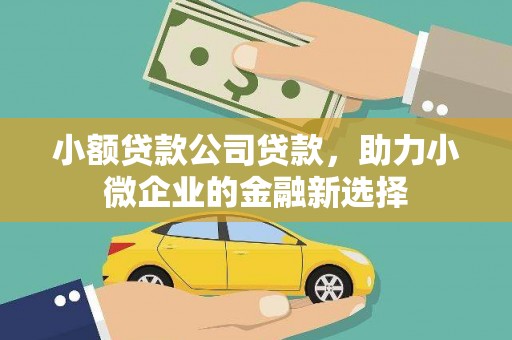 武江小额贷款公司贷款，助力小微企业的金融新选择