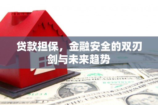 武江贷款担保，金融安全的双刃剑与未来趋势