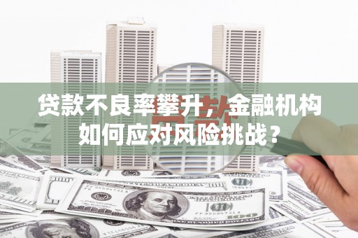 武江贷款不良率攀升，金融机构如何应对风险挑战？