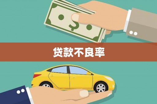 武江贷款不良率