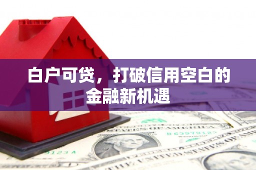 武江白户可贷，打破信用空白的金融新机遇