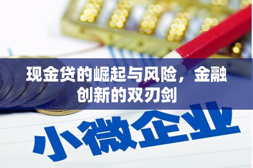 武江现金贷的崛起与风险，金融创新的双刃剑