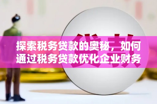 武江探索税务贷款的奥秘，如何通过税务贷款优化企业财务