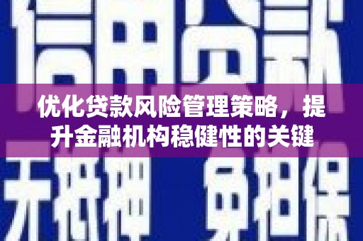 武江优化贷款风险管理策略，提升金融机构稳健性的关键