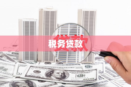 武江税务贷款