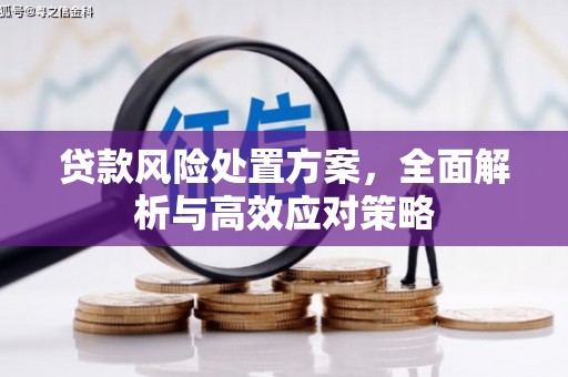 武江贷款风险处置方案，全面解析与高效应对策略