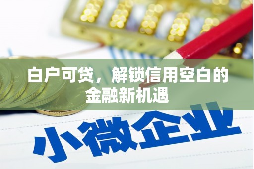 武江白户可贷，解锁信用空白的金融新机遇